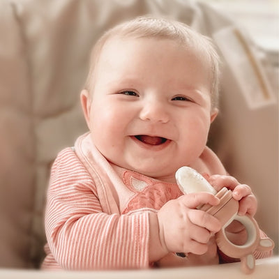 Baby Silicone feeding set | Glass baby Bottler | Non-Toxic Baby Essentials | Modern high chair |