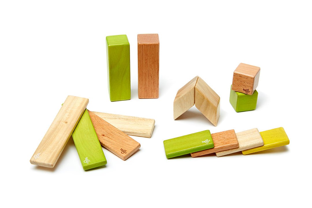 14-Piece Set Magnetic Wooden Blocks - Tegu Classics