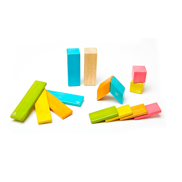 14-Piece Set Magnetic Wooden Blocks - Tegu Classics