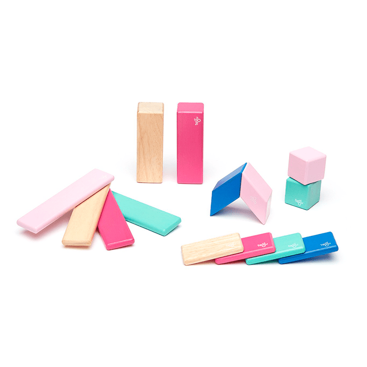 14-Piece Set Magnetic Wooden Blocks - Tegu Classics