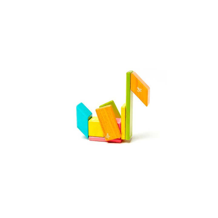 14-Piece Set Magnetic Wooden Blocks - Tegu Classics