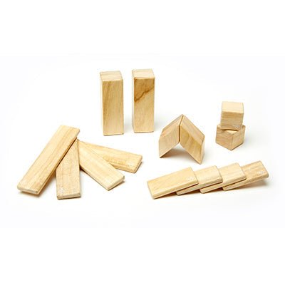 14-Piece Set Magnetic Wooden Blocks - Tegu Classics