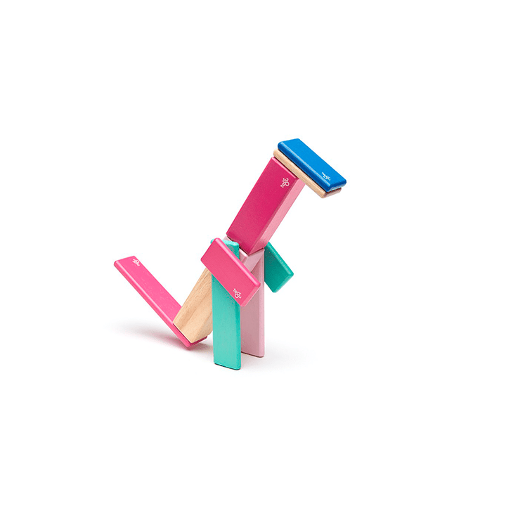 14-Piece Set Magnetic Wooden Blocks - Tegu Classics