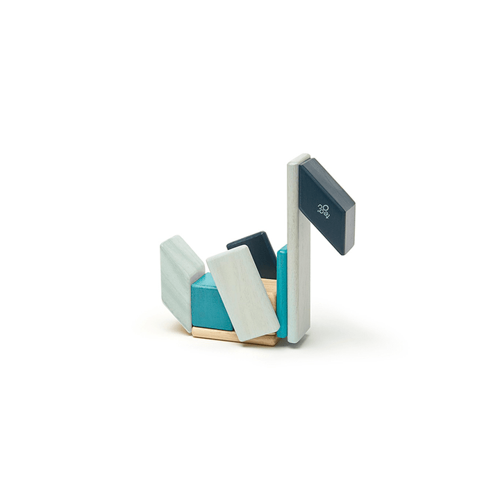 14-Piece Set Magnetic Wooden Blocks - Tegu Classics