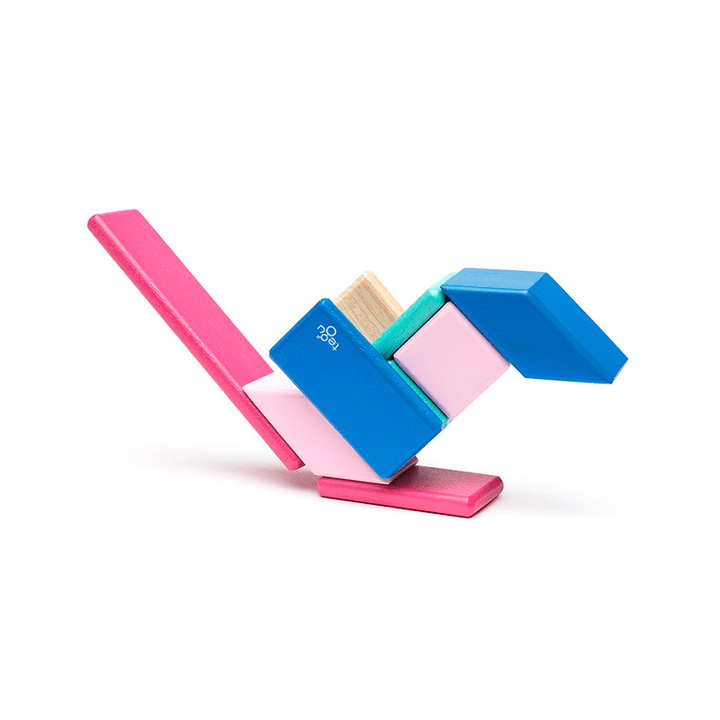 14-Piece Set Magnetic Wooden Blocks - Tegu Classics