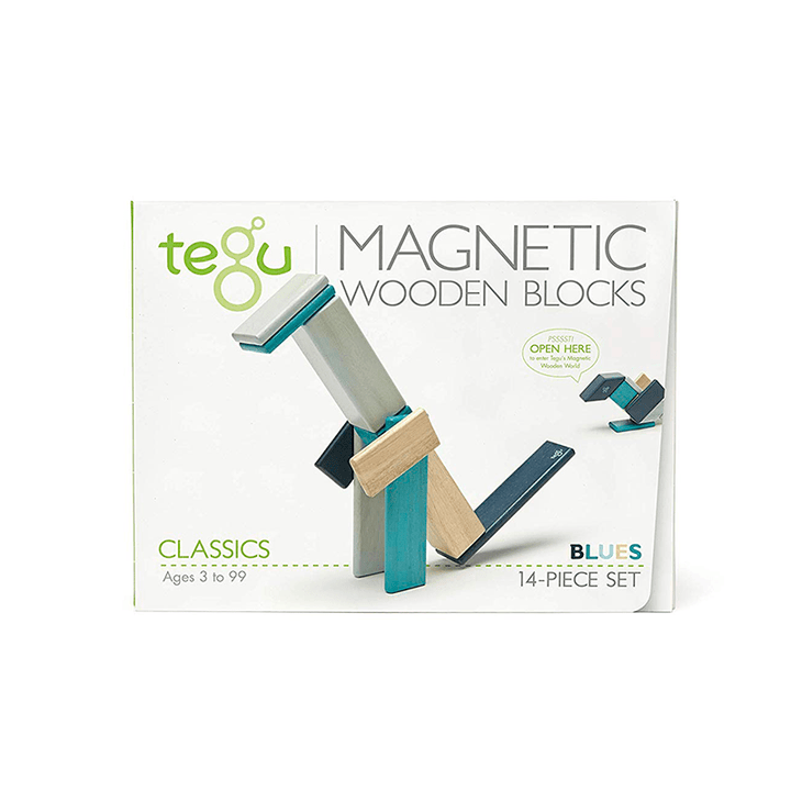 14-Piece Set Magnetic Wooden Blocks - Tegu Classics