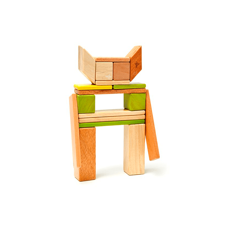 24-Piece Set Magnetic Wooden Blocks Tegu Classics