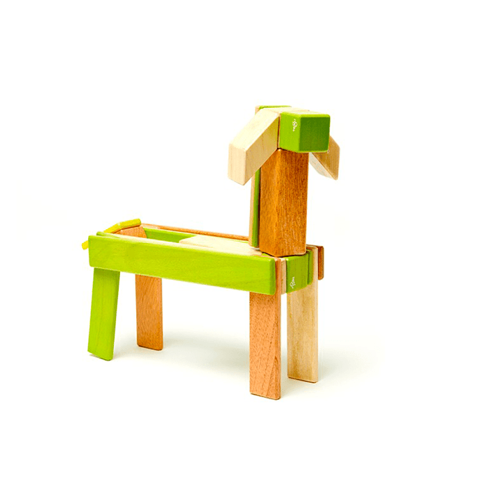 24-Piece Set Magnetic Wooden Blocks Tegu Classics