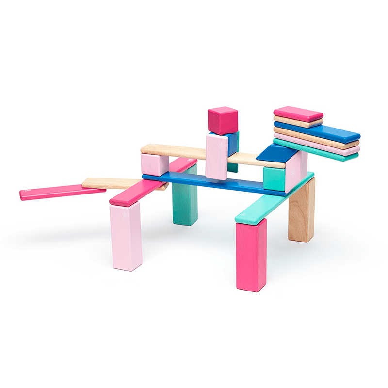 24-Piece Set Magnetic Wooden Blocks Tegu Classics