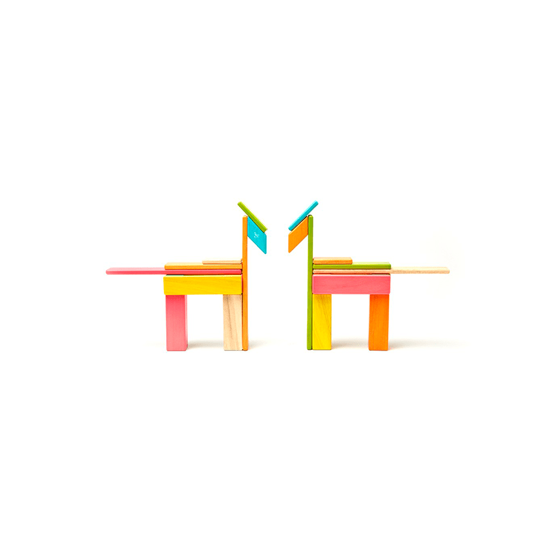 24-Piece Set Magnetic Wooden Blocks Tegu Classics