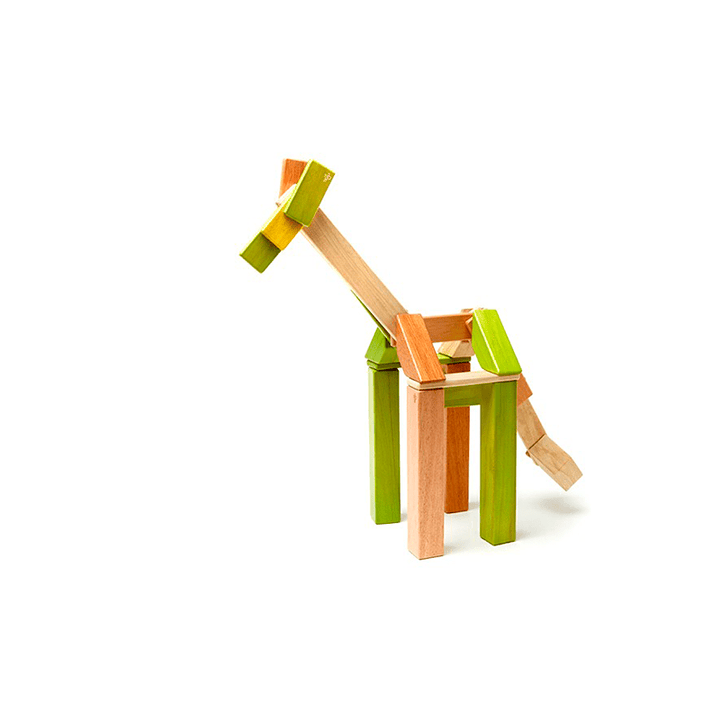 42-Piece Set Magnetic Wooden Blocks Tegu Classics
