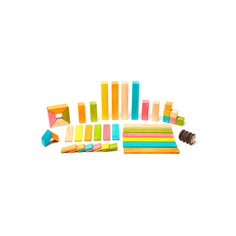 42-Piece Set Magnetic Wooden Blocks Tegu Classics