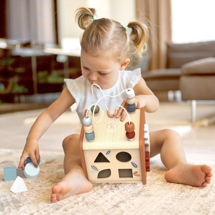 5 in 1 Activity Cube