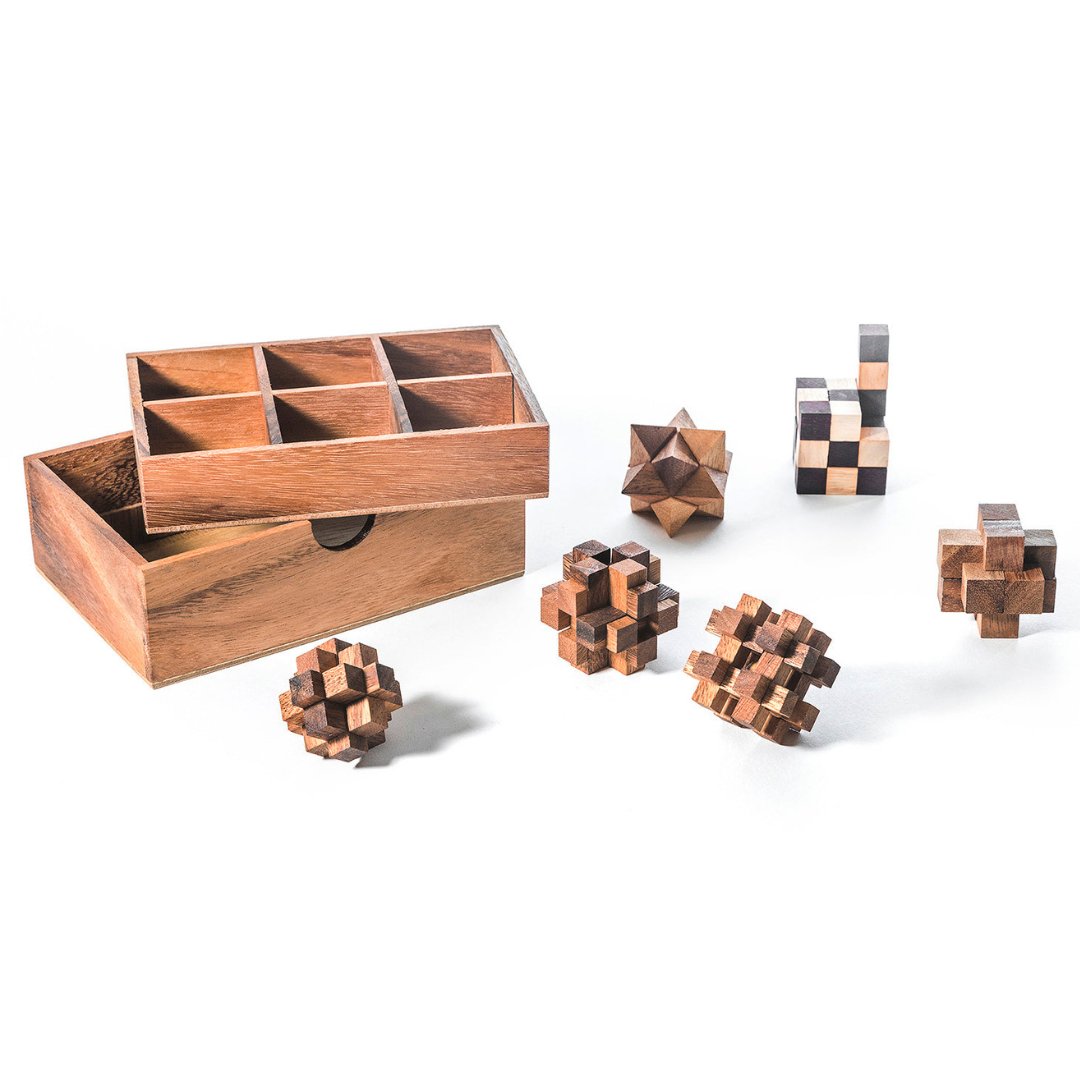 6 STEM Puzzle Gift Set - Wooden Puzzle Brain Teaser