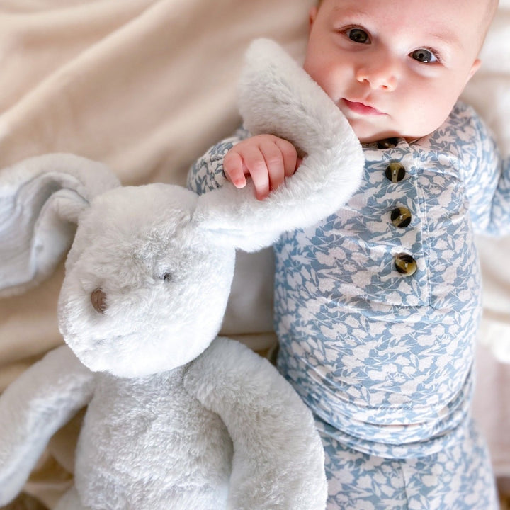 Abbott Blue Bunny Plush Toy