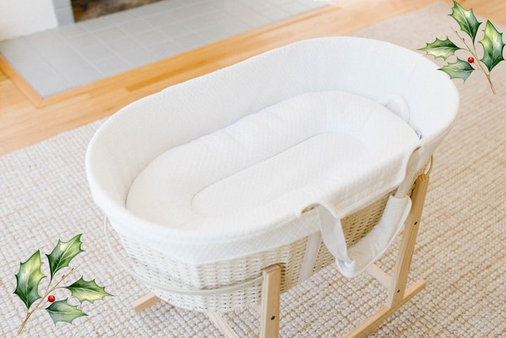 Ark Bassinet