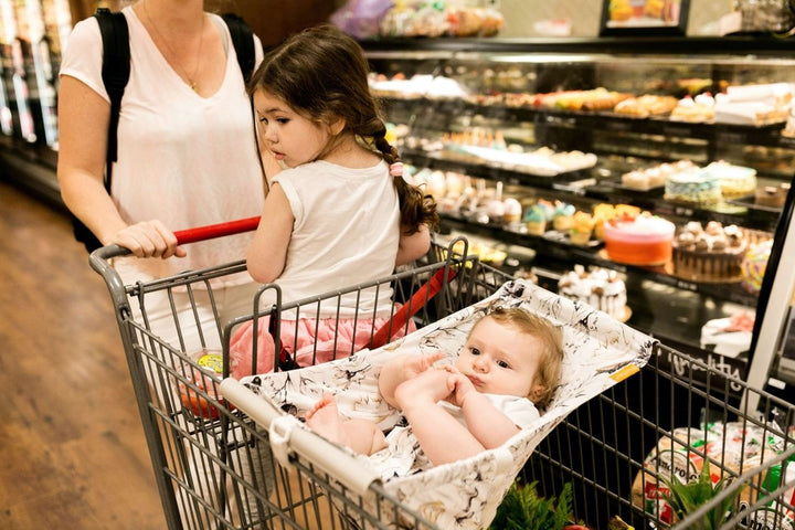 Baby Shopping Cart Hammock - Coming Up Roses Beautiful Floral Print