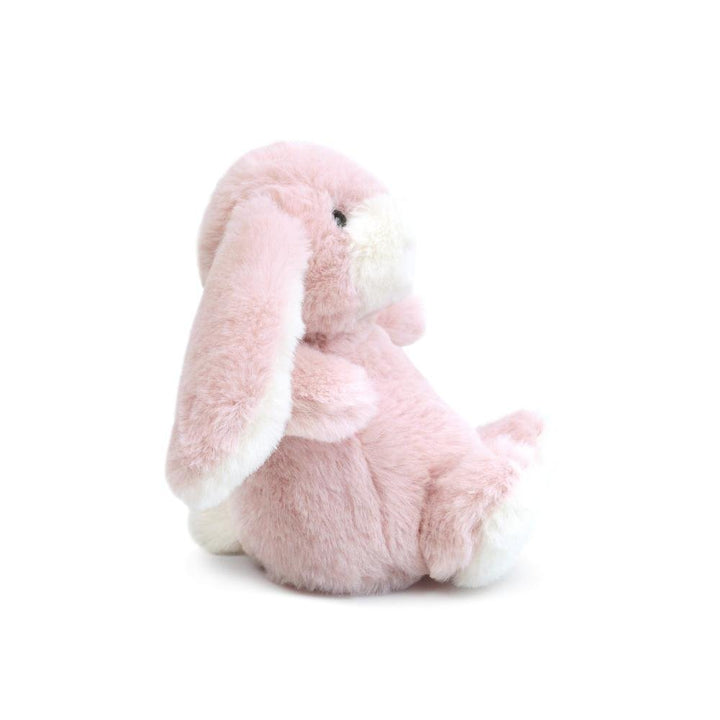 Bun Bun Bunny
