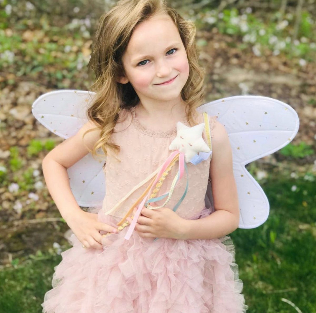Fairy Wings and Star Magic Wand Dress up Set Bee Like Kids Fairy Wings and Star Magic Wand Dress up Set Bee Like Kids