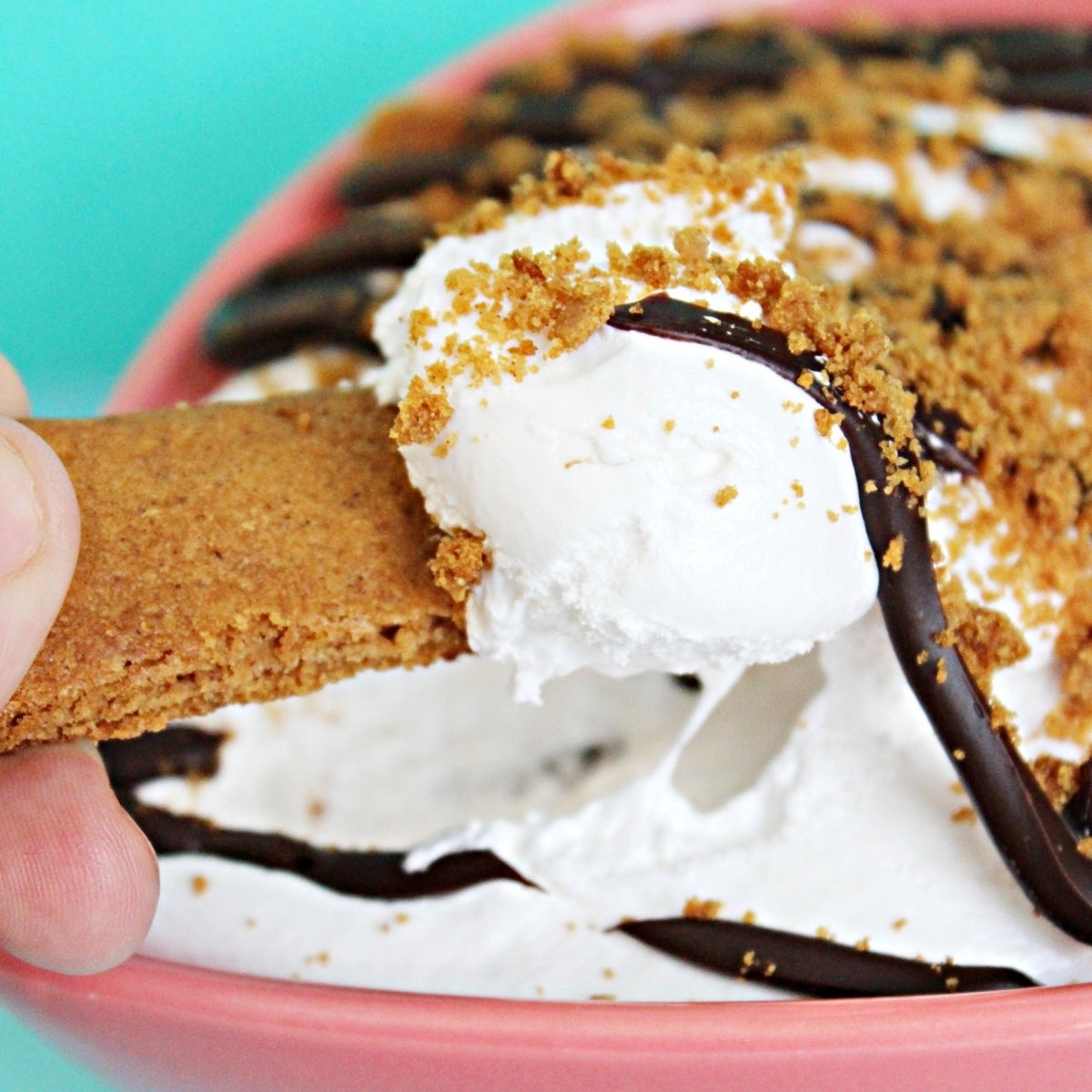 Gimmie Gimmie S'more OMG (Ooey Marshmallow Goodness)
