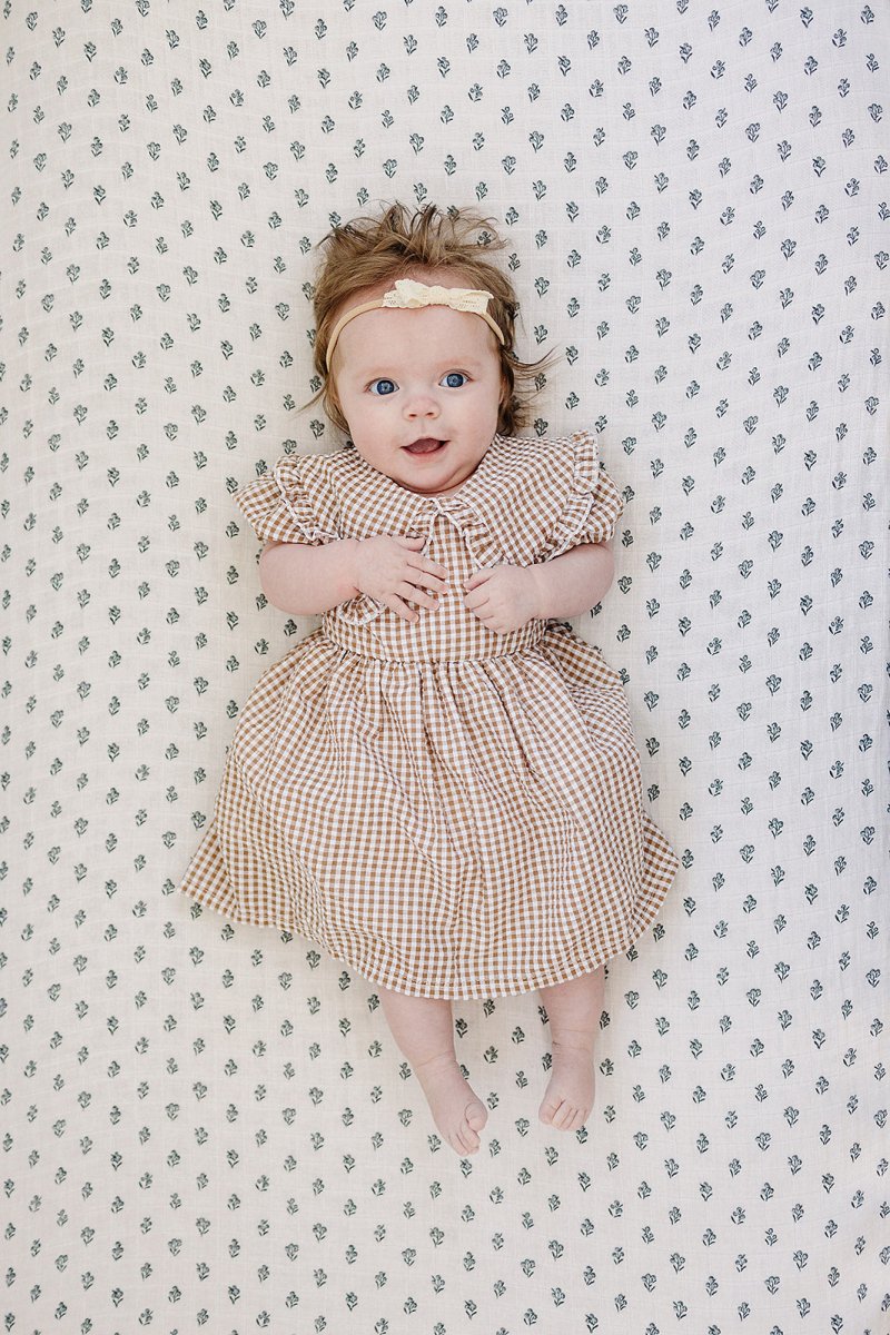 Gingham Peter Pan Collar Dress