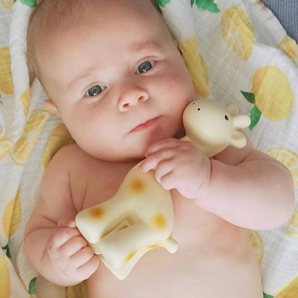 Giraffe Natural Organic Rubber Teether, Rattle &amp; Bath Toy