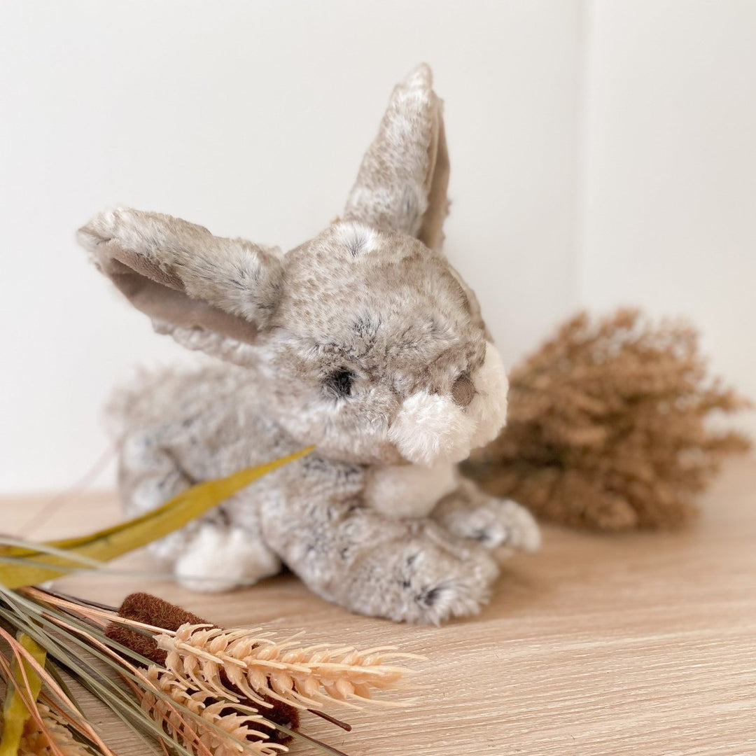 Plush toy rabbit on a wooden surface with dried plants