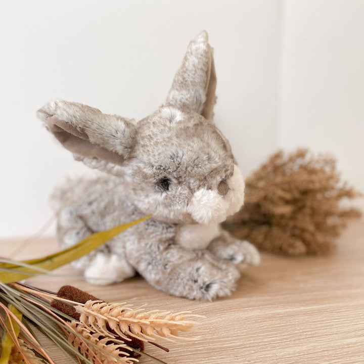 Plush toy rabbit on a wooden surface with dried plants