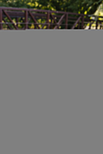 Pine Tree Knit Sweater