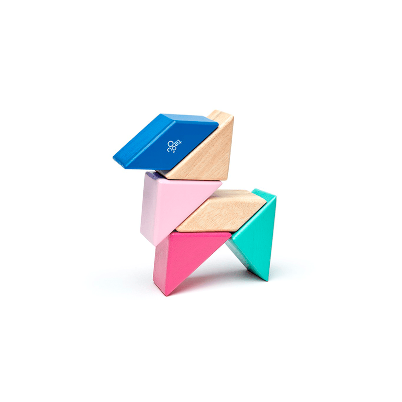 Pocket Pouch Prism Magnetic Wooden Blocks - 6 pieces