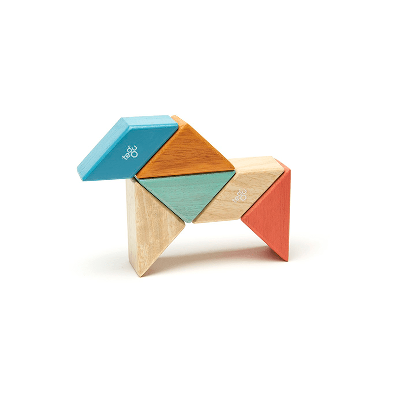 Pocket Pouch Prism Magnetic Wooden Blocks - 6 pieces