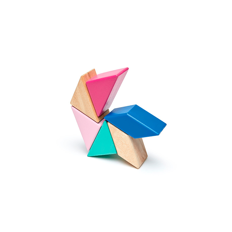 Pocket Pouch Prism Magnetic Wooden Blocks - 6 pieces