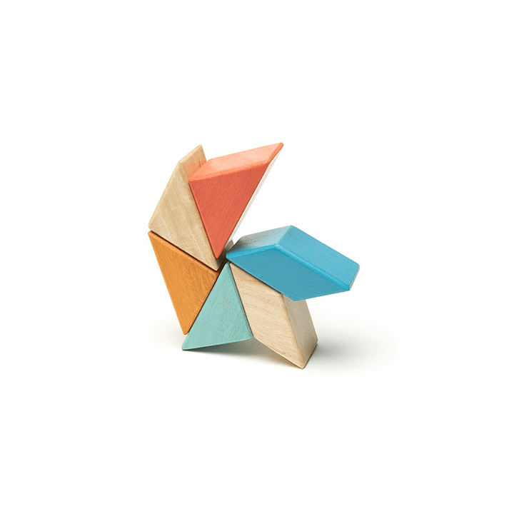 Pocket Pouch Prism Magnetic Wooden Blocks - 6 pieces