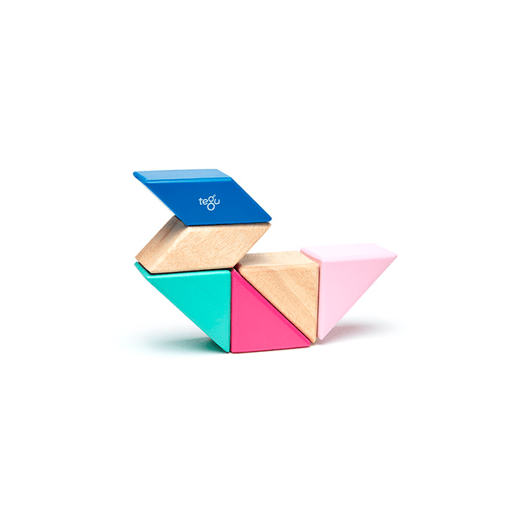 Pocket Pouch Prism Magnetic Wooden Blocks - 6 pieces