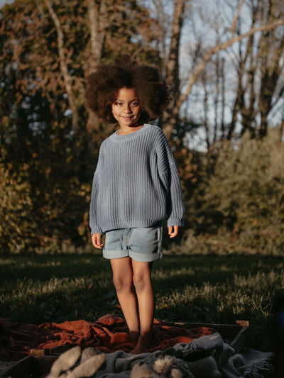 The Denim Short