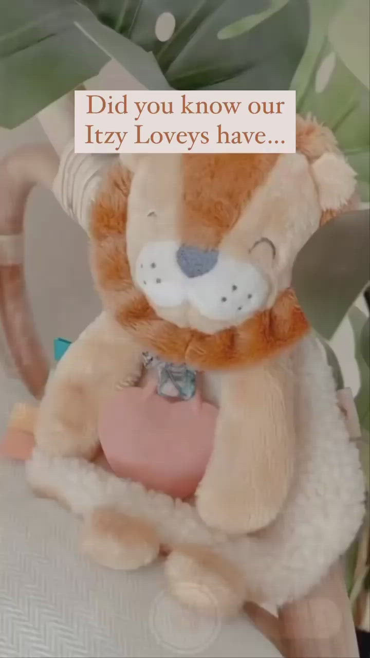 Lion Plush with Silicone Teether Toy