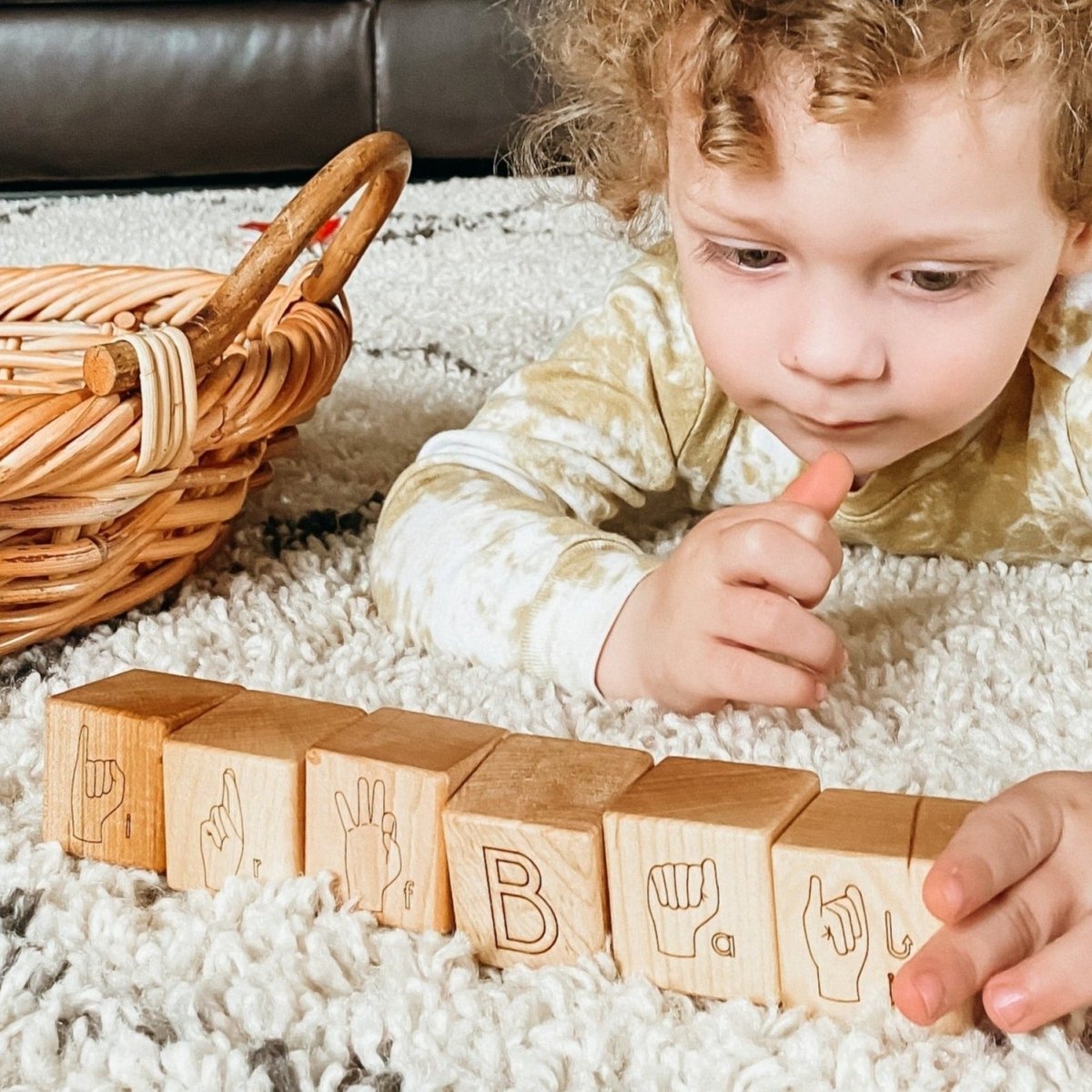 American Sign Language ABC Blocks