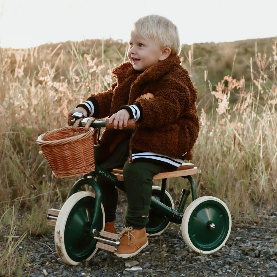 Banwood Trike Green | Push Tricycle | Bee Like Kids
