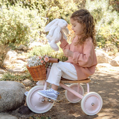 Banwood Trike Pink | Bee Like Kids