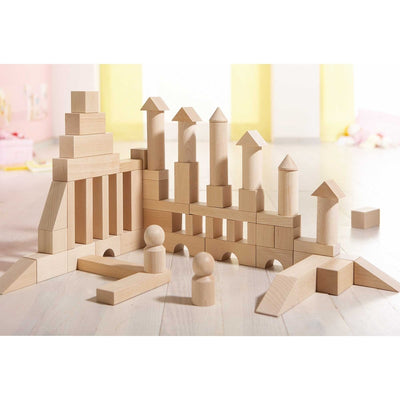 Basic Building Blocks 60 Piece Large Starter Set