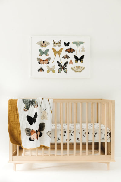 Butterfly Collector Quilt