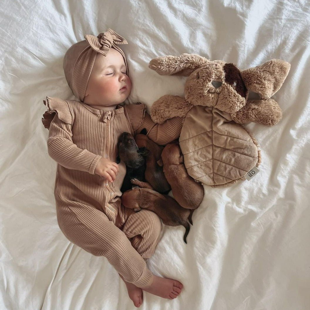 Dave Dog Lovey | Non-Toxic Soft Toys | O.B Design | Bee Like Kids