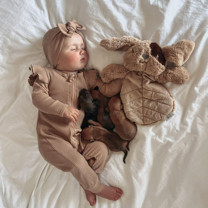 Dave Dog Lovey | Non-Toxic Soft Toys | O.B Design | Bee Like Kids