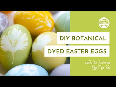 Natural Egg Dye Kit |  Natural Earth Paint | Bee Like Kids