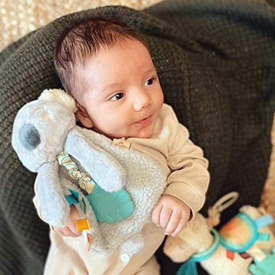 Koala Plush with Silicone Teether Toy | Itzy Ritzy | Lovey - Bee Like Kids