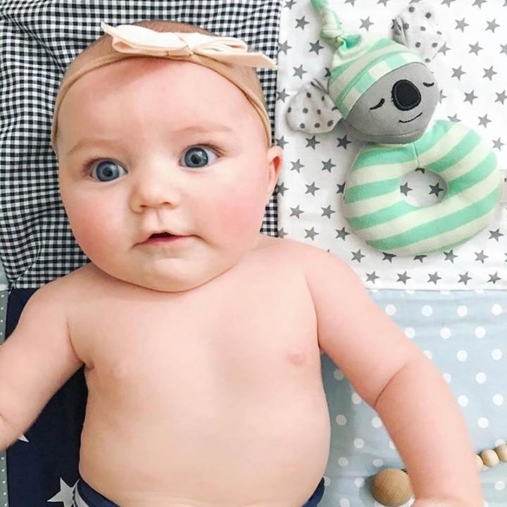 Kozy Koala Teething Rattle | Apple Park | Baby Essentials - Bee Like Kids