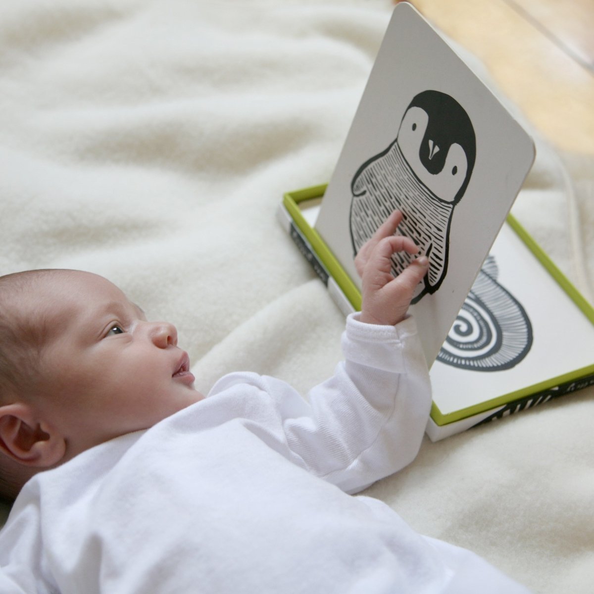 Little Naturalist Gift Set - Black + White