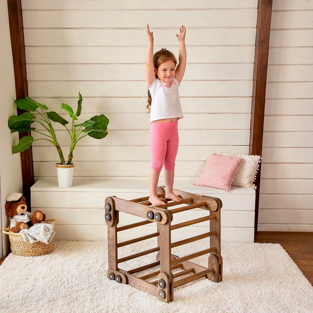 Montessori Climber - Snake Ladder | Goodevas | Bee Like Kids