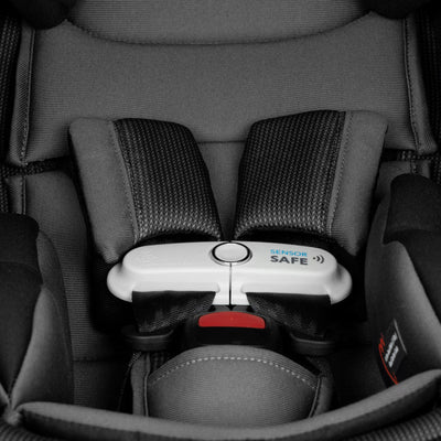Shyft DualRide Infant Car Seat Stroller Combo with Carryall Storage