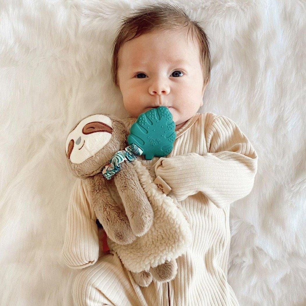 Sloth Plush with Silicone Teether Toy | Itzy Ritzy | Baby Essentials - Bee Like Kids